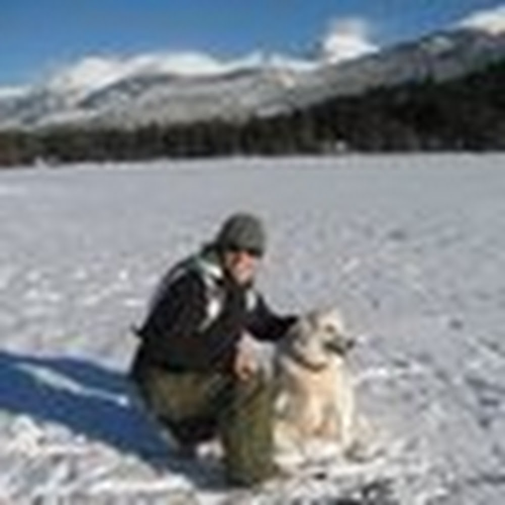 Meet your Posher, Bree